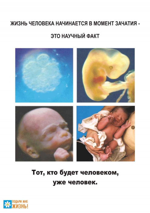 жизнь человека начинается в момент зачатия