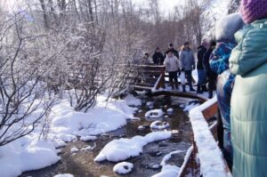 Новости, праздник