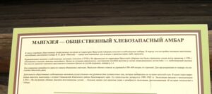 Новости, Детская страничка